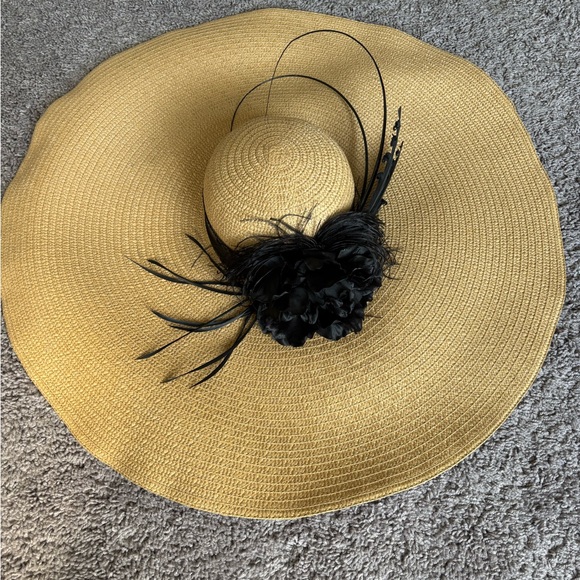 Elegant Black Feathered Hat main image 4